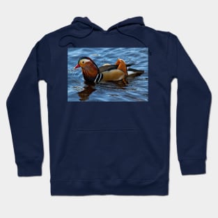 Mandarin Duck reflected in clear blue water Hoodie